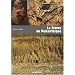 La France du Pal�olithique
