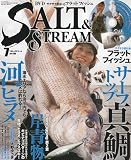 SALT & STREAM (ソルトアンドストリーム) 2010年 07月号 [雑誌]