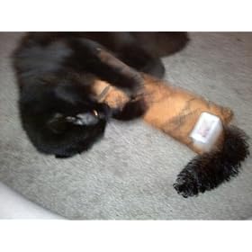 KONG Kickeroo Pattern Catnip Cat Toy
