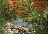 Forest Creek by Anonymous. Art Print Poster 36 inches width by 24 inches height. Highest Quality Art Poster Print