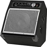 SWR WorkingPro 12 200 Watt 1x12 Bass Combo Amp