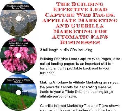 Fan Pages