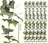 Six 6' Artificial Grape Garlands with Grape Clusters