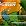 French Symphonic Poems