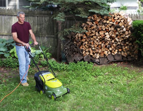 Cheapest I Can Buy Factory Reconditioned Sun Joe MJ401E-RM