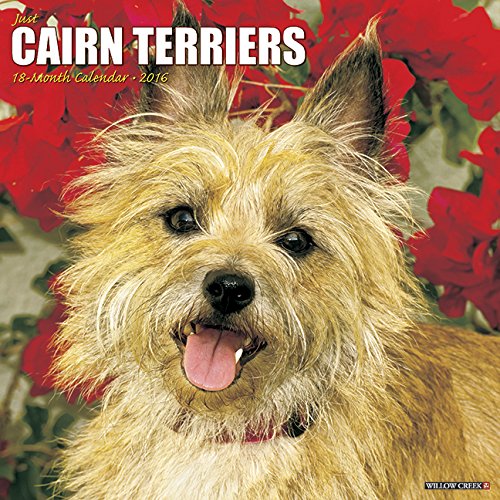 2016 Just Cairn Terriers Wall Calendar