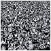 Listen Without Prejudice Vol.1