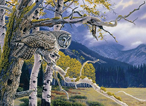 Great Grey Owl, A 1000 Piece Jigsaw Puzzle by Cobble Hill