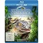Weltnaturerbe Costa Rica - Guancaste Nationalpark &hellip <b>Blu-ray</b> ~ Norbert Vander