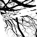 Search : Ambient Trio