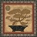 Sally Ray Cairns - Bonsai I, Size: 24 x 24 Canvas Finish