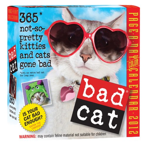 Bad Cat 2012 Page-a-Day Calendar