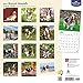 Basset Hounds 2017 Calendar