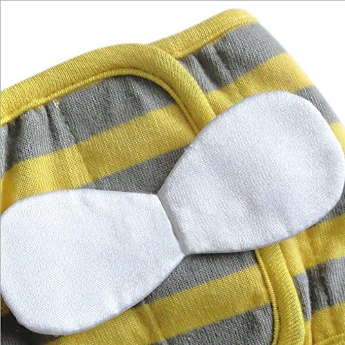 Gold Wing Bee Pattern Dog Diaper Belly Band, Medium