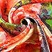 Shanghai Story Women's Silk Luxury Square Scarf Van Gogh's Oil Paintings