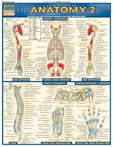 Anatomy 2 (Quickstudy: Academic)