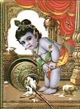 Krishna - The Birth (Bonus - Free Mohan Veena/Guitar-Classical Instrumental CD)