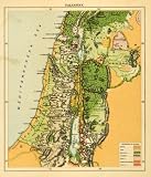 1903 Lithograph Antique Map Palestine Middle East Natural Resources Cartography - Original Lithograph