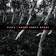 Songs of Decay