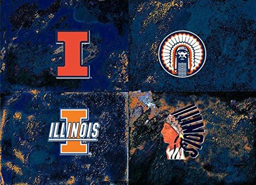 Worhol's Illinois University Logo Canvas -Illinios University - Chief Illiniwek