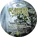Sounds Good To Me (Olivier Desmet & Oriental Funk Stew Mix)