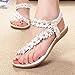 Start Women Comfortable Summer Bohemia Sandals Clip Toe Beachshoes Herringbone Shoes
