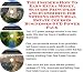 The Insider's How To Earn Extra Money, Success Principles and eCommerce for Nothing Down Real Estate Courses Businesses 3 CD Power Pack