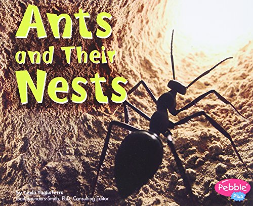 Ants and Their Nests (Animal Homes)
