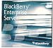 rim blackberry enterprise server 4.1 for microsoft exchange-20 user