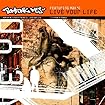 Live Your Life (feat. Max'c)