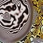 Groovadelphia
