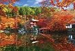 1000ピース 紅葉映える醍醐寺 71-384 1000ピース 紅葉映える醍醐寺 71-384