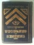 Lariats and chevrons, or, Corporal Jack, U.S.V.A., R.R
