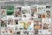 Boston Celtics Poster ~ Limited Edition Front Page Montage ~ 13x19