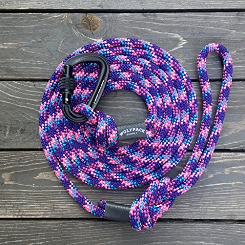 Climbing Rope Dog Leash with Big Locking Carabiner - Razzleberry - 10 ft