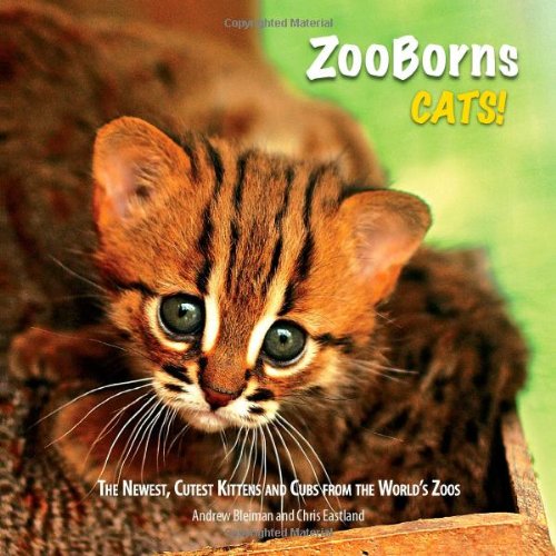 ZooBorns Cats!: The Newest, Cutest Kittens and Cubs from the World's Zoos [Hardcover]