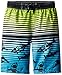 Big Chill Little Boys' Shark Striped Short