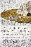 Aesthetics as phenomenology : the appearance of things