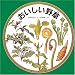 おいしい野草 (みるずかん・かんじるずかん―金の本)