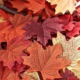 Factory Direct Craft&reg; Artificial Fall Maple Leaves in a Mixture of Autumn Colors - Great Autumn Table Scatters for Fall Weddings & Autumn Parties (140, Dark Autumn Color Mixture)