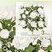 Three 26" Artificial Open Rose Silk Flower Bushes with Dew Drops _Cream White