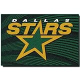 Dallas Stars 20 x 30 Rug