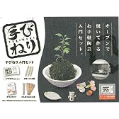 パジコ お手軽陶芸入門セット