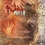 Mesh