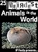 25 Weirdest Animals in the World! Amazing facts, photos and video links to the strangest creatures on the planet. (25 Amazing Animals Series) 25 Weirdest Animals in the World! Amazing facts, photos and video links to the strangest creatures on the planet. (25 Amazing Animals Series)
