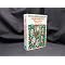 Pre-Raphaelite Biographies