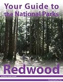 Search : Your Guide to Redwood National Park