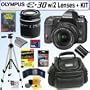 Olympus E30 12.3MP Digital SLR Camera with 14-42mm f/3.5-5.6 and 40-150mm f/4.0-5.6 ED Zuiko Lenses + 8GB Deluxe Accessory Kit