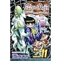 Muhyo & Roji's Bureau of Supernatural Investigation, Vol. 11 (Muhyo and Roji's Bureau of Supernatural Investigation)