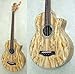 IBANEZ EWB20SFE/NT tbgXAR[XeBbNx[X